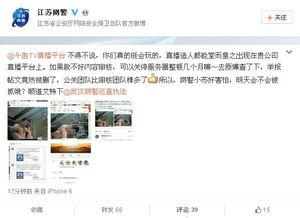 国产主播做爰直播,爰情直播现象背后的伦理与争议